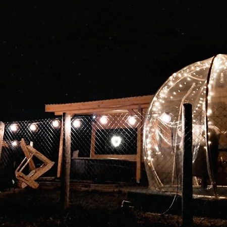 Tiny House Colibita Villa Exterior photo